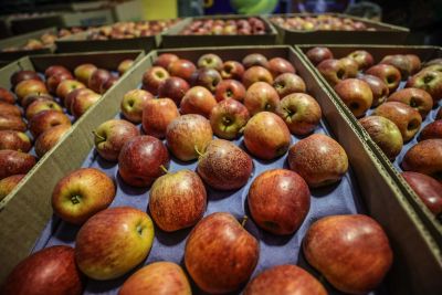 notícia: Ceasa dá dicas de nutrição saudável pelo Dia da Alimentação                                                       