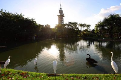 notícia: Estação, Mangal e Parque do Utinga recebem doações de brinquedos, alimentos e gibis em campanha solidária