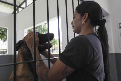 galeria: Batalhão de Ações com cães - BAC -  Dia Cachorro
