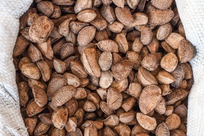 notícia: Semas divulga iniciativas selecionadas para o Bio Business 2023 