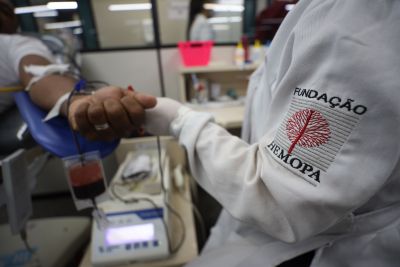 notícia: Parceria do Hemopa e Forças Armadas reforçam os estoques de sangue da Fundação Hemopa