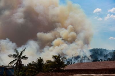 notícia: Pará reduz focos de queimadas em 83% em relação à média histórica em dezembro