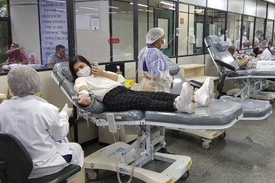 notícia: Fundação Hemopa coletou mais de 93 mil bolsas de sangue em 2021