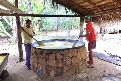 notícia: Emater incentiva produção rural em Santa Izabel e Prainha