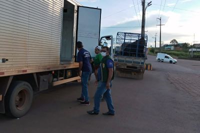 notícia: Veículo de carga é autuado durante fiscalização volante da Adepará, em Altamira