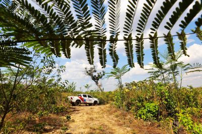 notícia: Municipalização da gestão ambiental impulsiona a análise de Cadastro Ambiental Rural no Pará