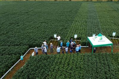 notícia: Adepará participa de programação sobre o cultivo da soja, em Altamira