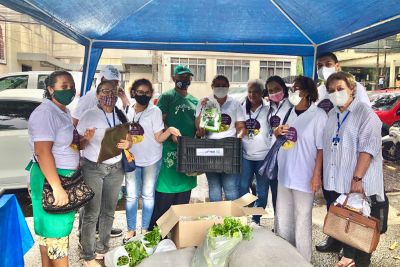 notícia: Projeto Quintal Produtivo incentiva a agricultura urbana e periurbana