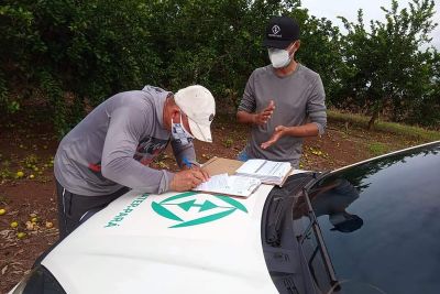 notícia: Agricultores de Monte Alegre devem receber mais de R$ 4 milhões de recursos este ano