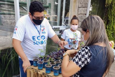 notícia: Iniciativas de sustentabilidade da Semas se tornam referência para a gestão estadual 
