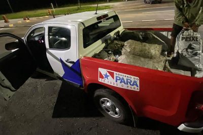 notícia: Adepará apreende 3 mil caranguejos na Operação Crustáceo, na região de Castanhal
