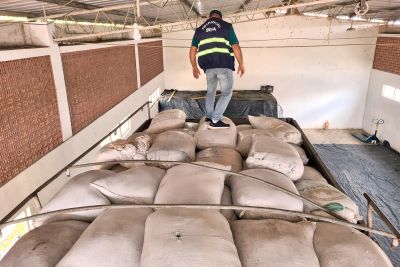 notícia: Sefa apreende 12 toneladas de pimenta no nordeste do Pará 