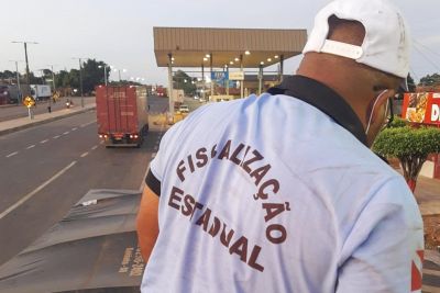 notícia: Adepará intercepta 6,5 toneladas de sementes de capim