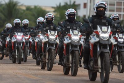 notícia: Janeiro de 2022 apresenta o melhor índice de redução nos crimes violentos dos últimos 10 anos no Estado