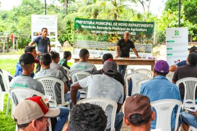 notícia: IDEFLOR-Bio capacita agricultores de Novo Repartimento em Sistemas Agroflorestais
