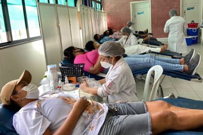 notícia: Fundação Hemopa tem final de semana marcado por ações solidárias