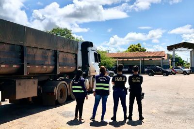 notícia: Secretaria da Fazenda apreende 23,4 toneladas de cassiterita em Conceição do Araguaia 