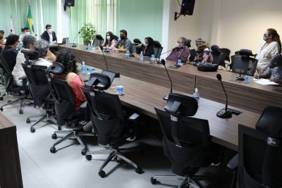 notícia: Comitê Gestor sobre Mudanças Climáticas aumenta participação da sociedade civil