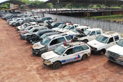 notícia: Leilão público virtual supera expectativa e arrecada mais de R$ 2 milhões