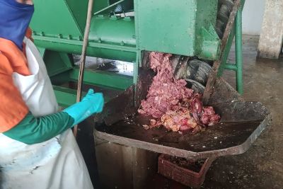notícia: Adepará interdita e fecha abatedouro em Santa Maria do Pará