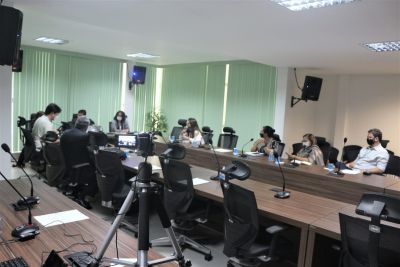 notícia: Câmara de Compensação Ambiental aprova prestação de contas e destinação de recursos