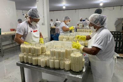 notícia: 'Na Fábrica' leva equipe do Estado a conhecer potencial de empresas em Abaetetuba 