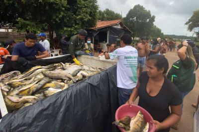 notícia: Termina o período de defeso no Mosaico de Unidades de Conservação Lago de Tucuruí