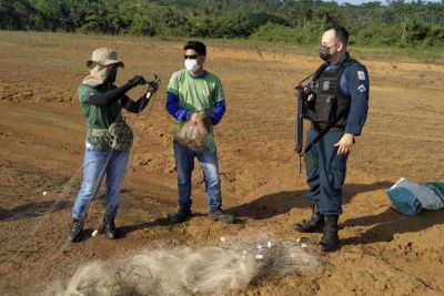 notícia: Mulheres fazem a diferença na defesa da fauna e flora no estado