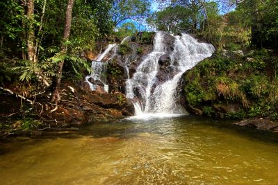 notícia: Governo institui Programa de Educação Ambiental para Unidades de Conservação Estaduais