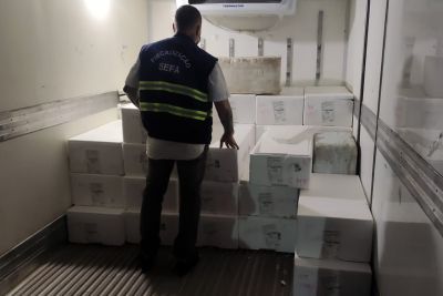 notícia: Sefa apreende 273 kg de filé de salmão em Marabá 