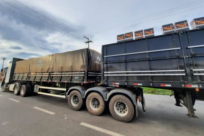 notícia: Secretaria da Fazenda apreende 30 mil garrafas de vodca em Marabá 