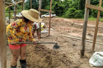 notícia: Agricultores de Almeirim começam a plantar hortaliças de forma autossustentável no município 