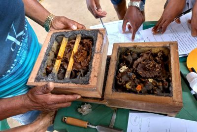 notícia: Projeto Abelha Nativa do IDEFLOR-Bio capacita agricultores familiares