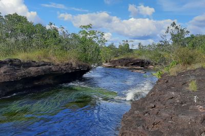 notícia: IDEFLOR-Bio abre chamada pública para compor Conselho Gestor da Floresta do Trombetas