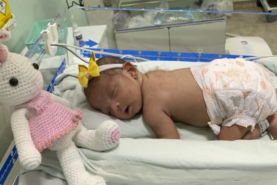 notícia: Bebês ganham ensaio fotográfico de Páscoa no Regional de Marabá 