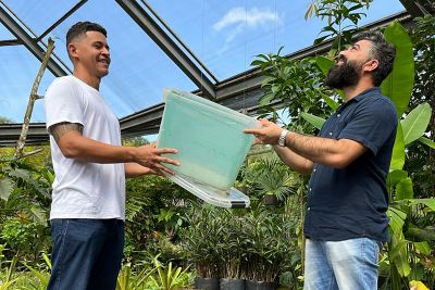 notícia: Pássaros resgatados ganham novo lar no Parque Mangal das Garças
