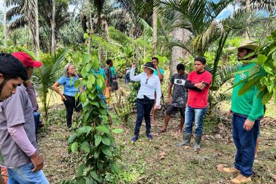 notícia: Em Moju, Emater demonstra importância de Sistemas Agroflorestais para a produção sustentável