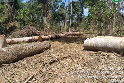 notícia: Em 22 operações, Operação 'Amazônia Viva' embarga mais de 286 mil hectares 