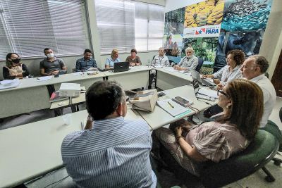 notícia: Conselho Gestor do Funcacau aprova projetos que visam fortalecer a produção no estado 