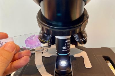 notícia: Ophir Loyola agiliza realização de exames e a entrega de laudos