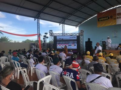 notícia: Sedap estimula o crescimento da apicultura no Pará