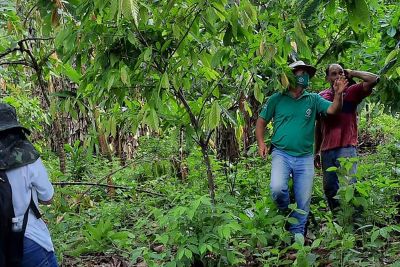 notícia: Emater apoia produtores com políticas públicas, em Goianésia