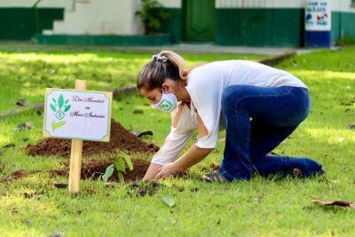 notícia: Semana do Meio Ambiente da Emater promoverá ações em todo o Estado 