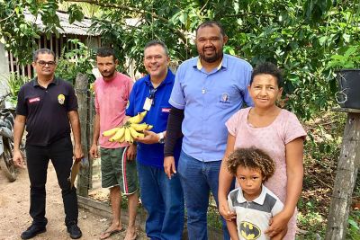 notícia: Técnicos da Adepará inspecionam os bananais no município de Piçarra