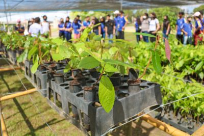 notícia: Semana do Meio Ambiente 2022 leva estudantes da rede pública a Unidades de Conservação 