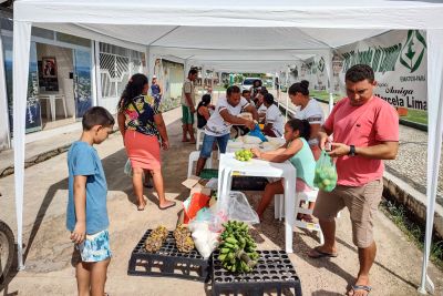 notícia: Em Melgaço, Emater promoverá Feira da Agricultura Familiar semanalmente