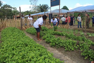 notícia: Seaster entrega as primeiras unidades do projeto hortas sociais pedagógicas