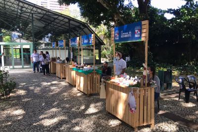notícia: Feira comercializa produtos da agricultura familiar e da bioeconomia, sem atravessadores 