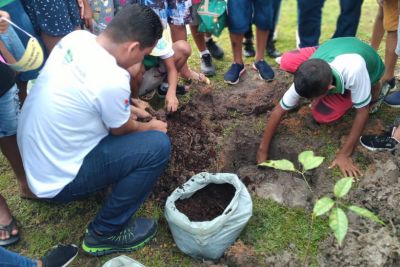 notícia: Pará ganha mais de 10 mil futuras árvores, em plantio simultâneo organizado pela Emater