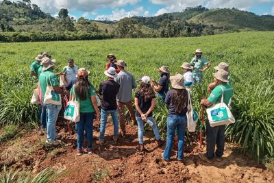 notícia: Emater promove difusão de tecnologia para pecuária sustentável na Semana do Meio Ambiente 